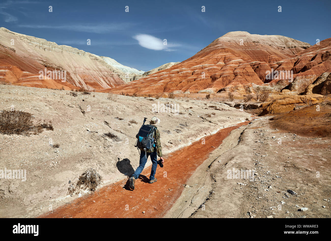 Tourist with backpack and camera walking at the dusty canyon on surreal red mountains against blue sky in the desert Stock Photo