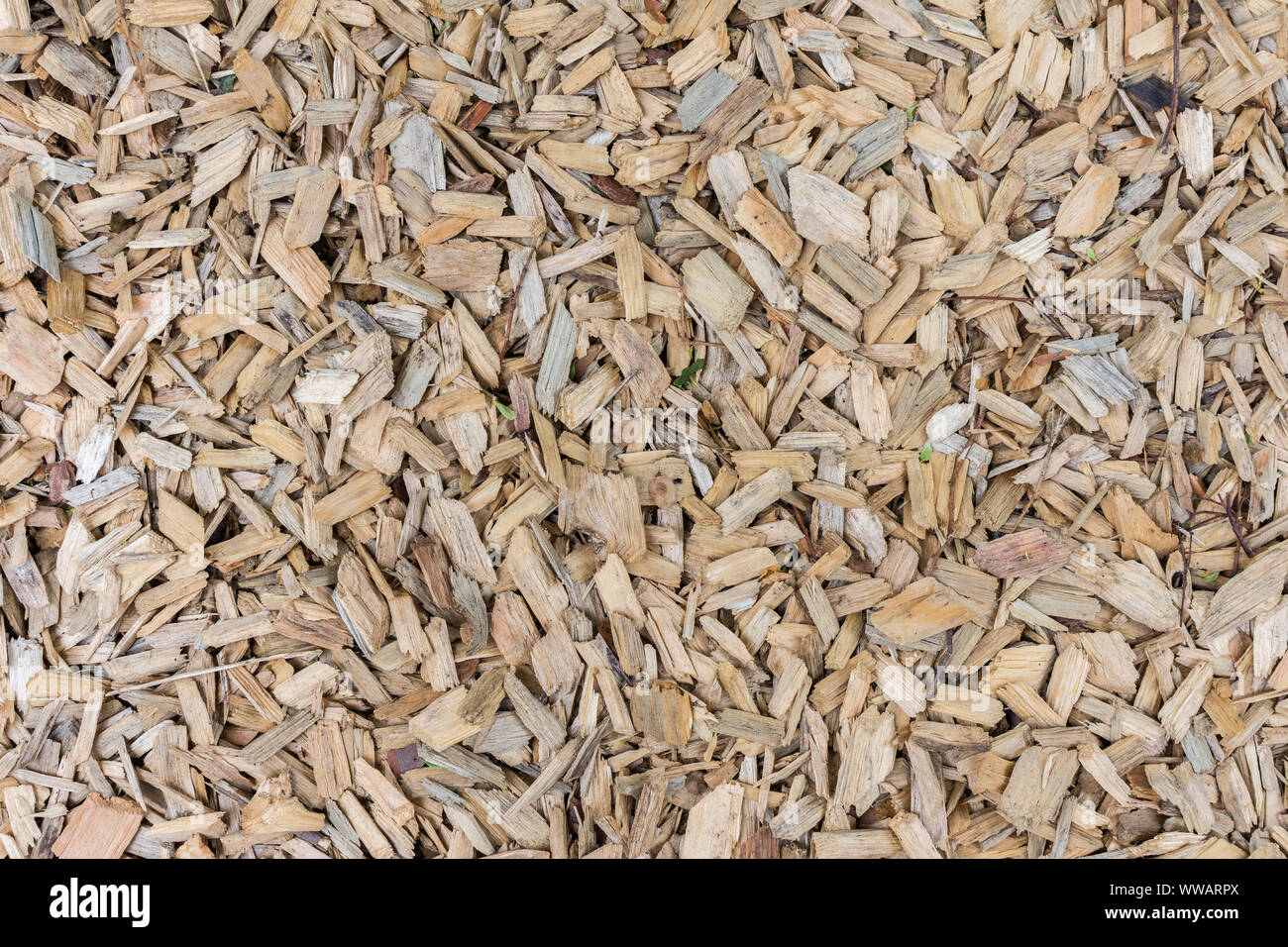 Sawdust Floor High Resolution Stock Photography and Images Alamy