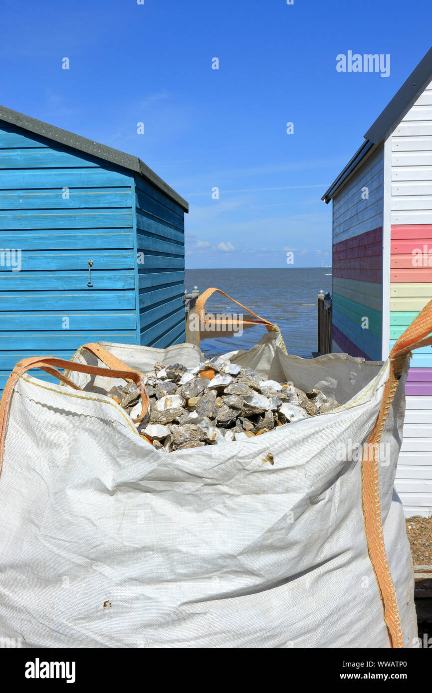 Bag of oyster shells hires stock photography and images Alamy