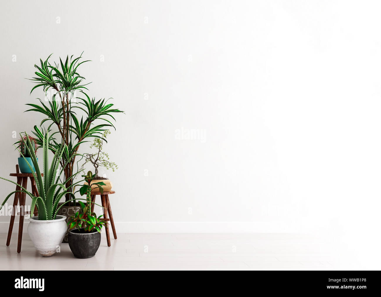 Mock up wall with group of potted house plants in modern interior background, moment for contemplation, Scandinavian style, 3D render, 3D illustration Stock Photo