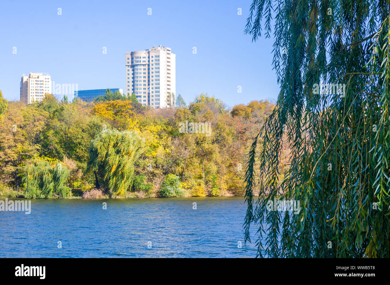 Autumn cityscape on a Sunny day - yellow autumn trees in the Park ...