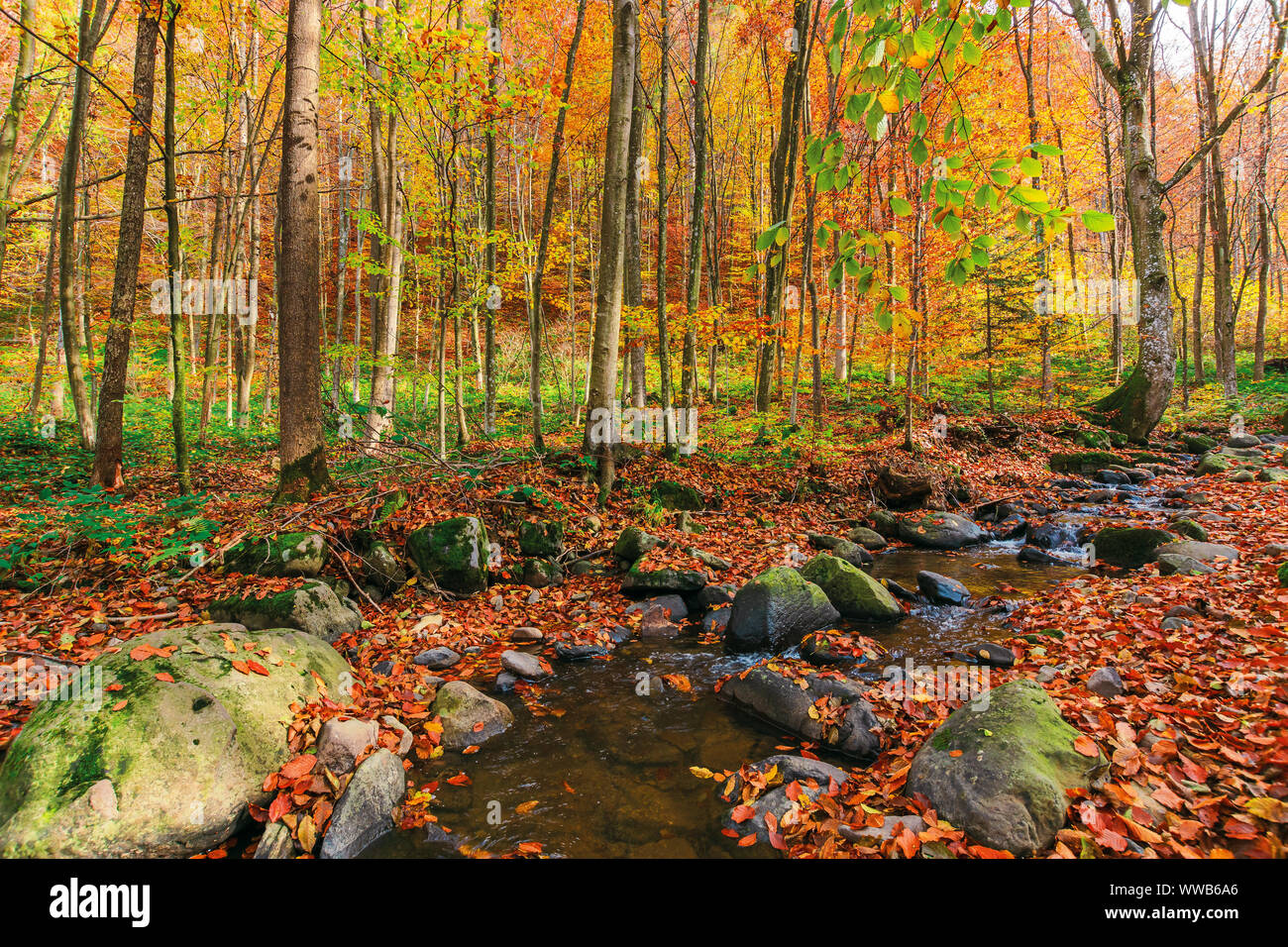 Free Images : rock, water, vacation, countryside, hill, forrest, plant,  green, natural landscape, fluvial landforms of streams, tree, watercourse,  riparian zone, groundcover, sky, mountain river, arroyo, bedrock, jungle,  creek, valley, temperate broadleaf