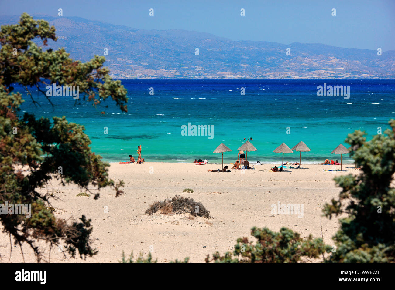 View of the north beach of Chrissi (or "Gaidouronissi" island, known as "Belegrina" (also "Golden Beach"), Ierapetra  Lasithi, Crete, Greece. Stock Photo