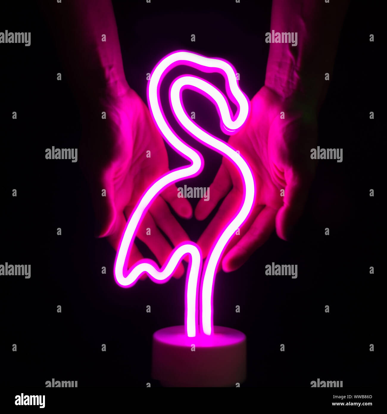 Neon pink flamingo LED lamp in female hands on a black background. Stock Photo