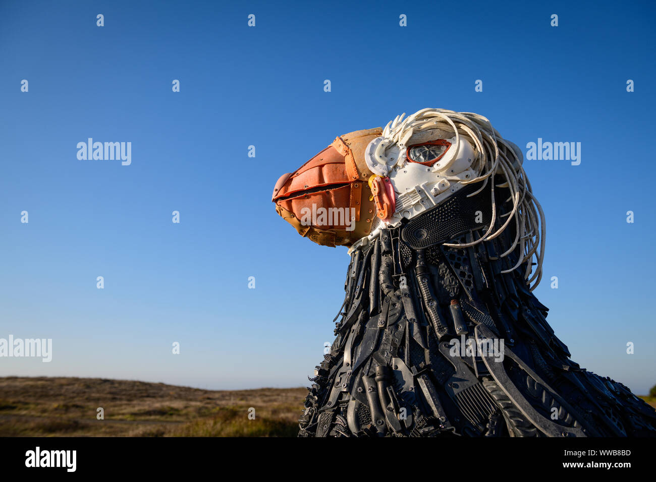 Cosmo the tufted puffin in Bandon Beach Oregon. The trash puffin was made entirely out of plastic washed ashore on the beaches around Bandon, Oregon b Stock Photo