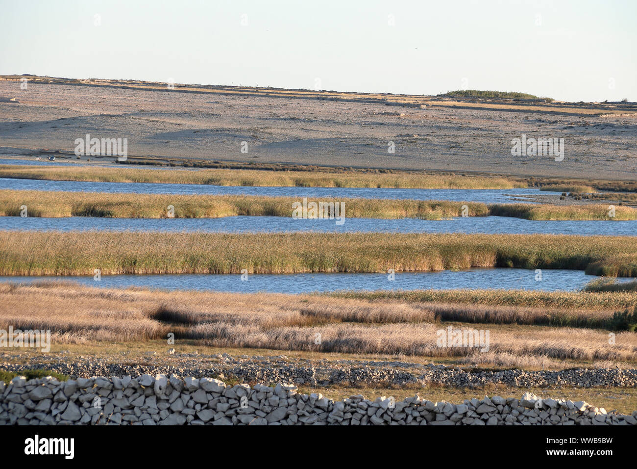 a lake overgrown with grass in a stone environment Stock Photo