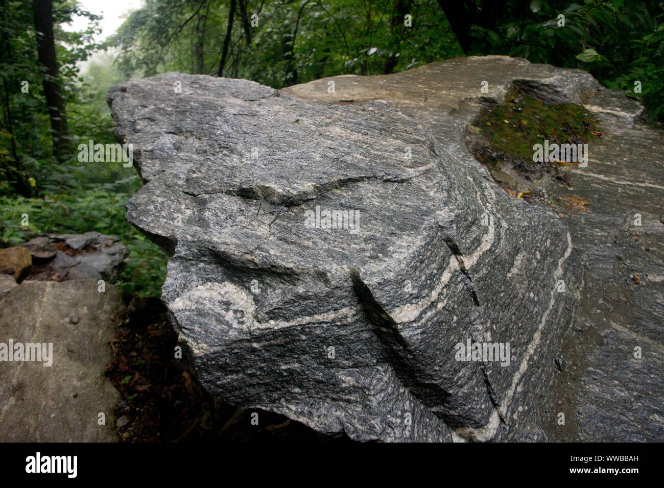 Striations in a rock formation.  Chimney Rock, North Carolina. Stock Photo
