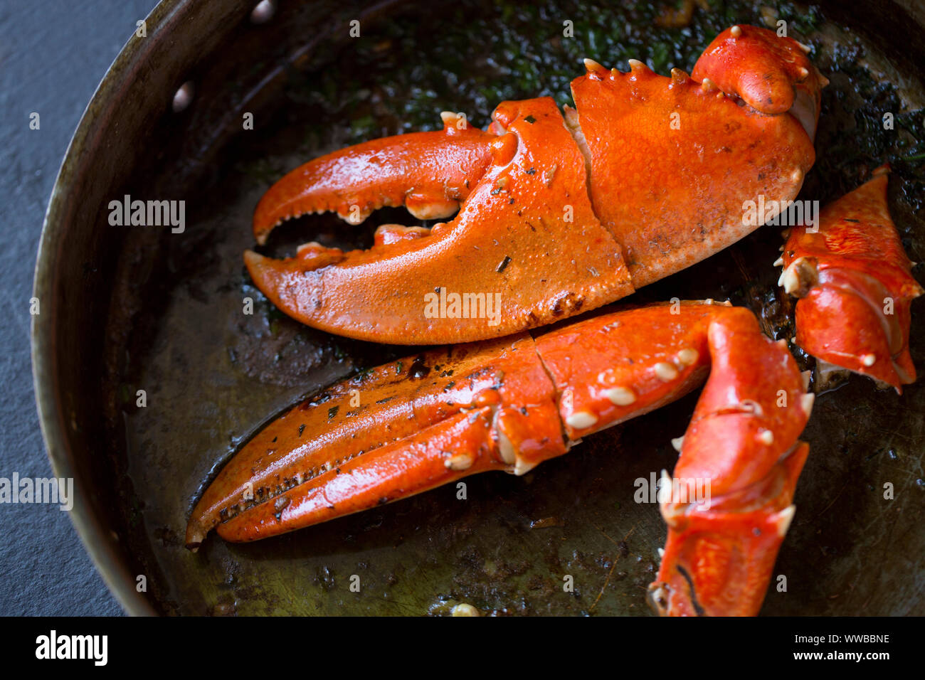 Two boiled, cooked lobster claws from a common lobster, Homarus gammarus, that are being heated in a butter, parsley and garlic sauce in a copper fryi Stock Photo