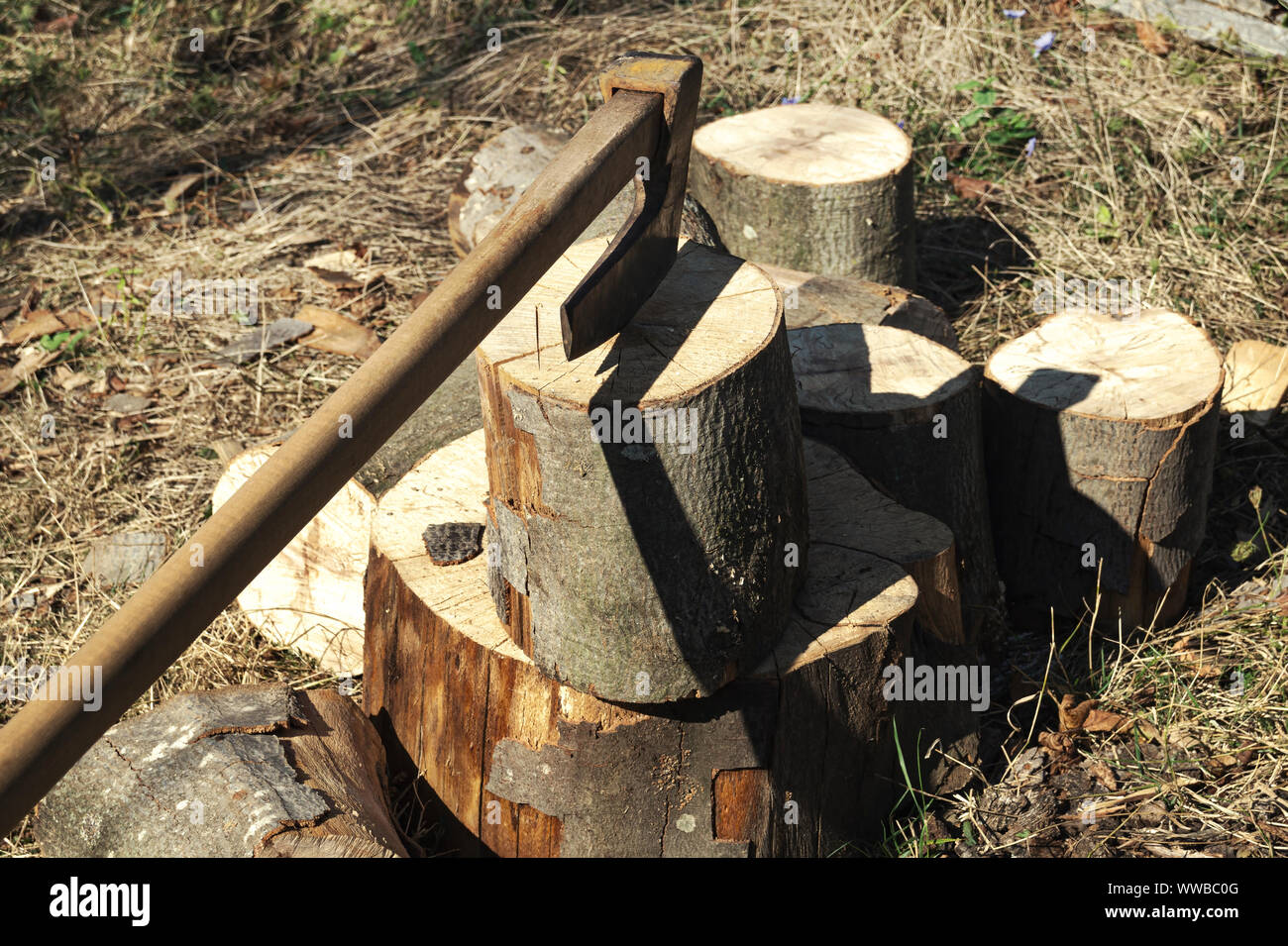 Fire wood and old axe. Renewable resource of a energy. Stock Photo