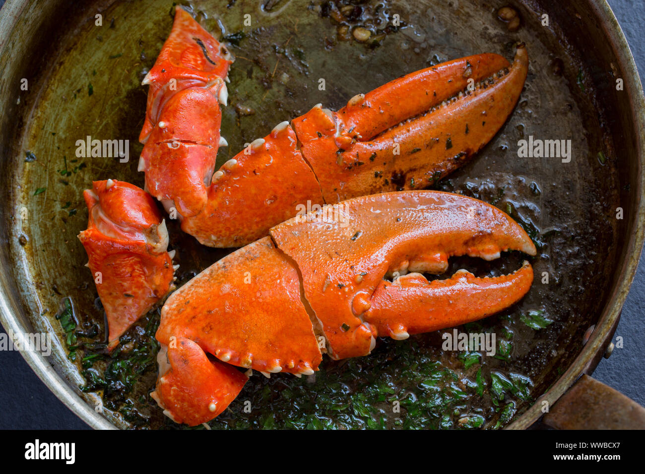 Two boiled, cooked lobster claws from a common lobster, Homarus gammarus, that are being heated in a butter, parsley and garlic sauce in a copper fryi Stock Photo