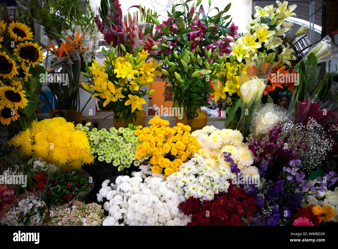 Flower Market in Mexico City Stock Photo Alamy