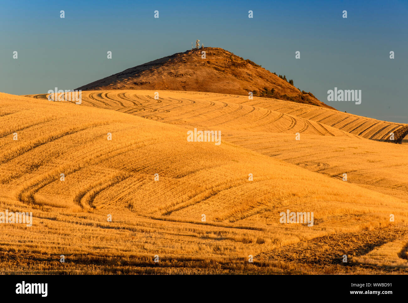 Colfax washington hires stock photography and images Alamy