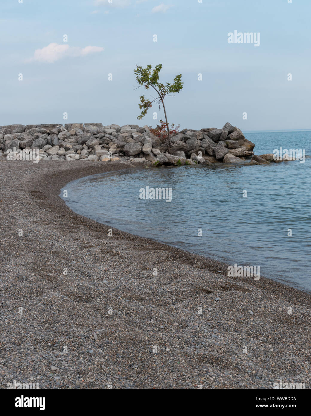 Beach Coast Line With Tree Vertical Stock Photo - Alamy