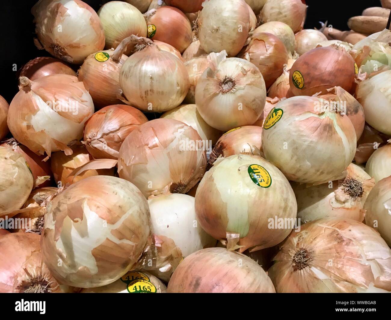 yellow onions on display at a market Stock Photo