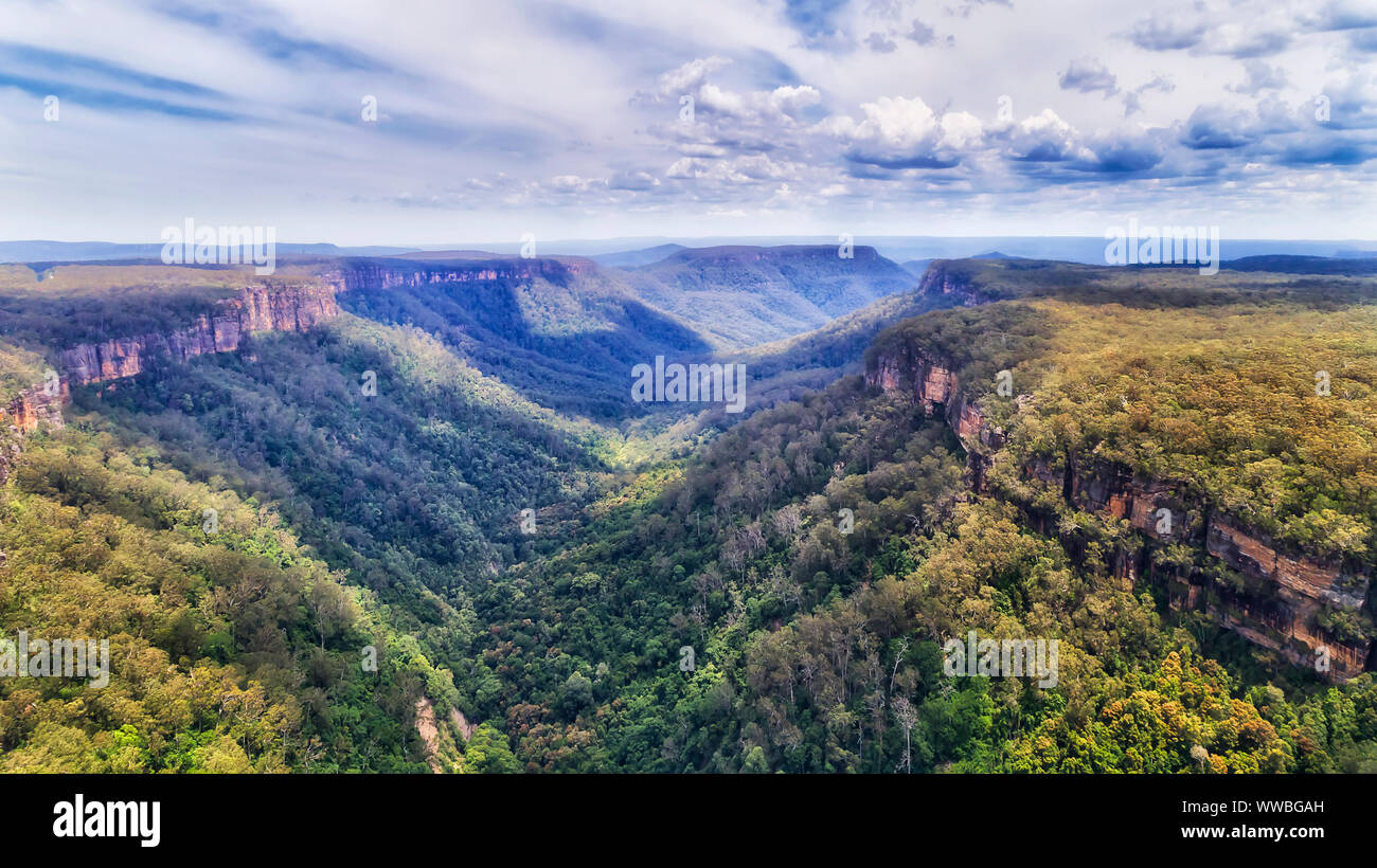 Yarrunga valley of the Great Dividing range of Southern Highlands in Australia - deep creek between sandstone plateau covered by evergreen gum-tree wo Stock Photo