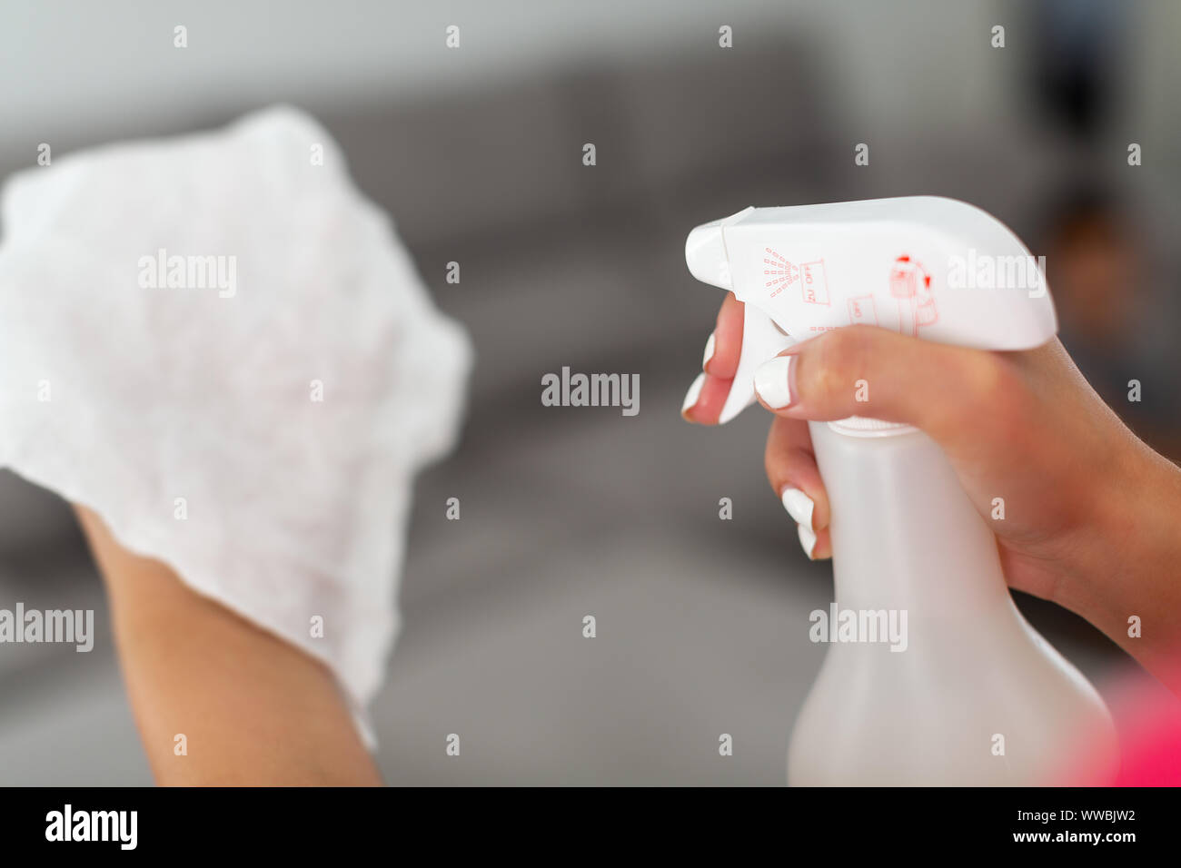 Woman hands with cleaning equipment, detergent spray cleaning carpet at