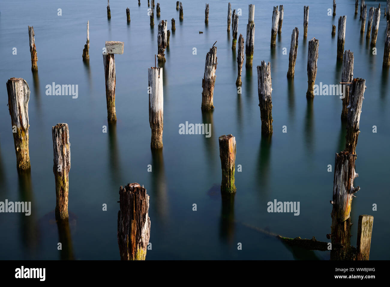 Fine art long shutter picture of old pier posts in the ocean at Coos Bay, Oregon, USA, North America Stock Photo