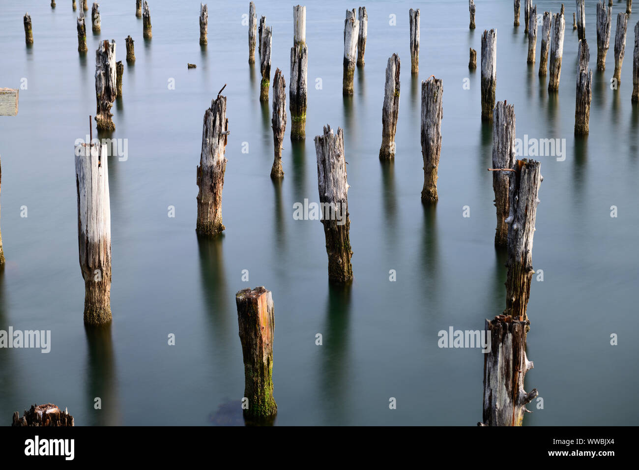 Fine art long shutter picture of old pier posts in the ocean at Coos Bay, Oregon, USA, North America Stock Photo