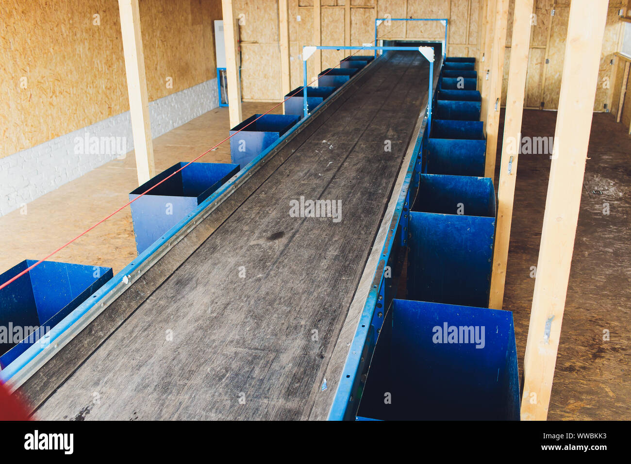 Trash being sorted on conveyor belt, cropped new clean Stock Photo