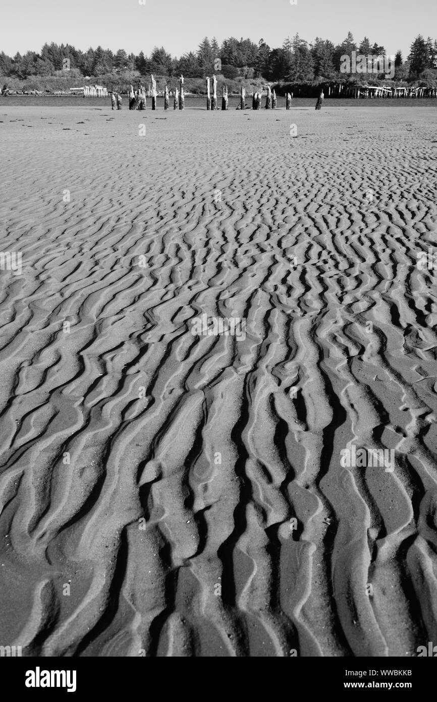 Ocean Floor Black And White Stock Photos Images Alamy