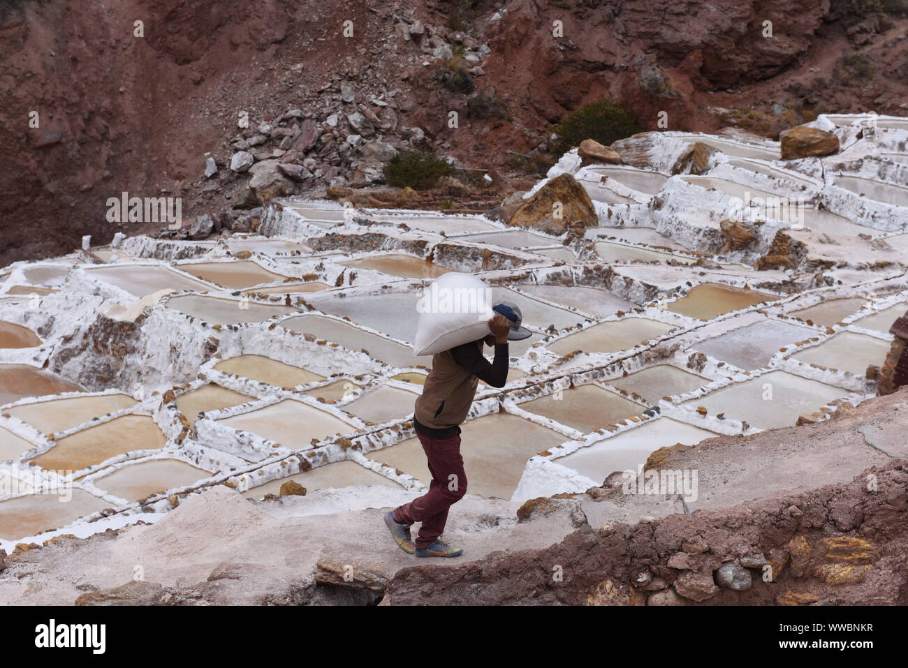 Maras, Peru. 14th Sep, 2019. A worker is seen hauling salt at Salineras de Maras.The Salineras de Maras is located along the slopes of QaqawiÃ±ay Mountain, at an elevation of 3,380 m in the Urumbamba Valley, near the town of Maras. It is made up of more than 3 thousand natural salt wells. Each of the wells has a dimension of 5 square meters. The 3,000 pools are fed by an underground hypersaline spring that originated around 110 million years ago during the formation of the Andes Mountains. The most of villagers of Maras work here. Credit: John Milner/SOPA Images/ZUMA Wire/Alamy Live News Stock Photo