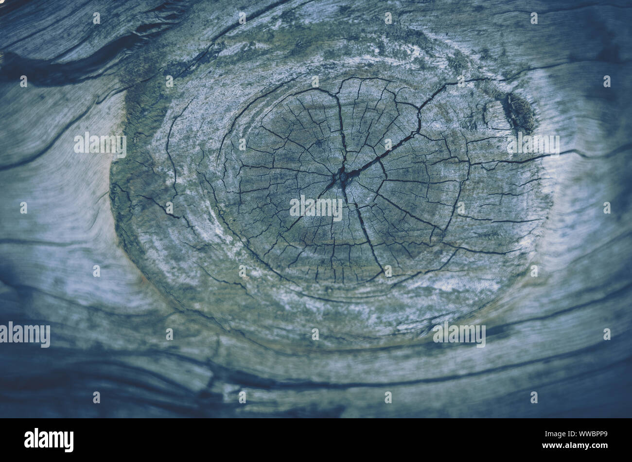 Wood patten texture; vintage style Stock Photo - Alamy