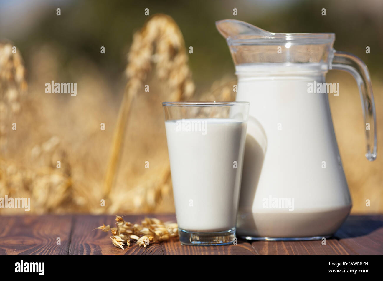 vegan oat milk in glass and jug on table over against ripe cereal field Stock Photo