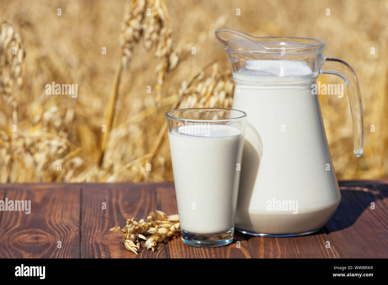 vegan oat milk in glass and jug on table over against ripe cereal field Stock Photo