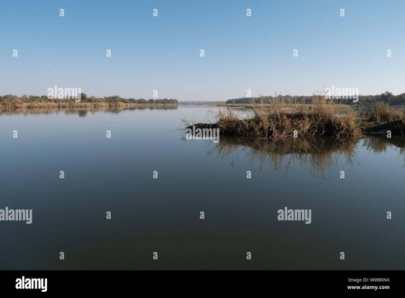 Tranquil Landscape with Calm Okavango River Water and Grass in Namibia, Africa Stock Photo