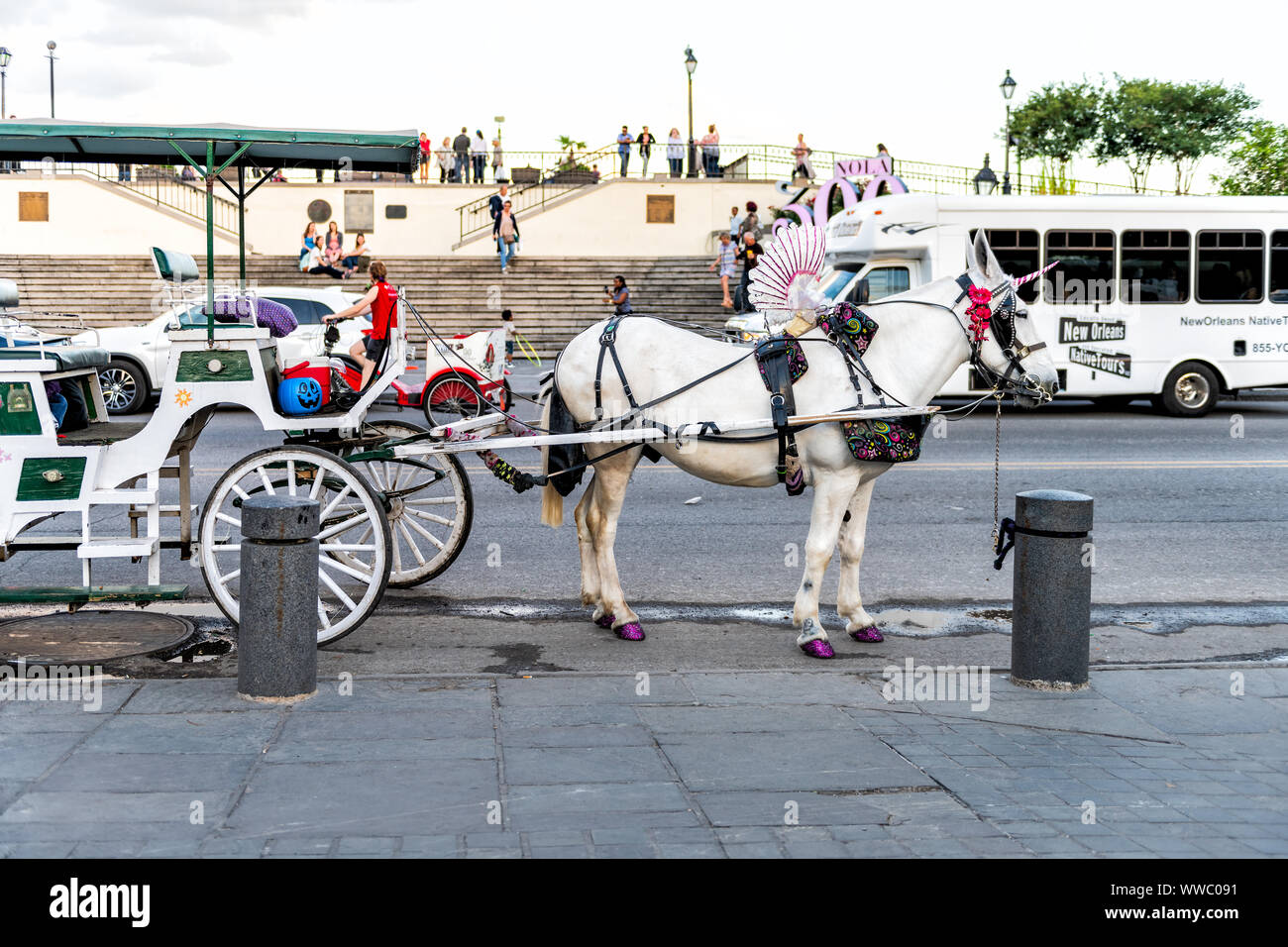 Horse and carriage ride new orleans hi res stock photography and