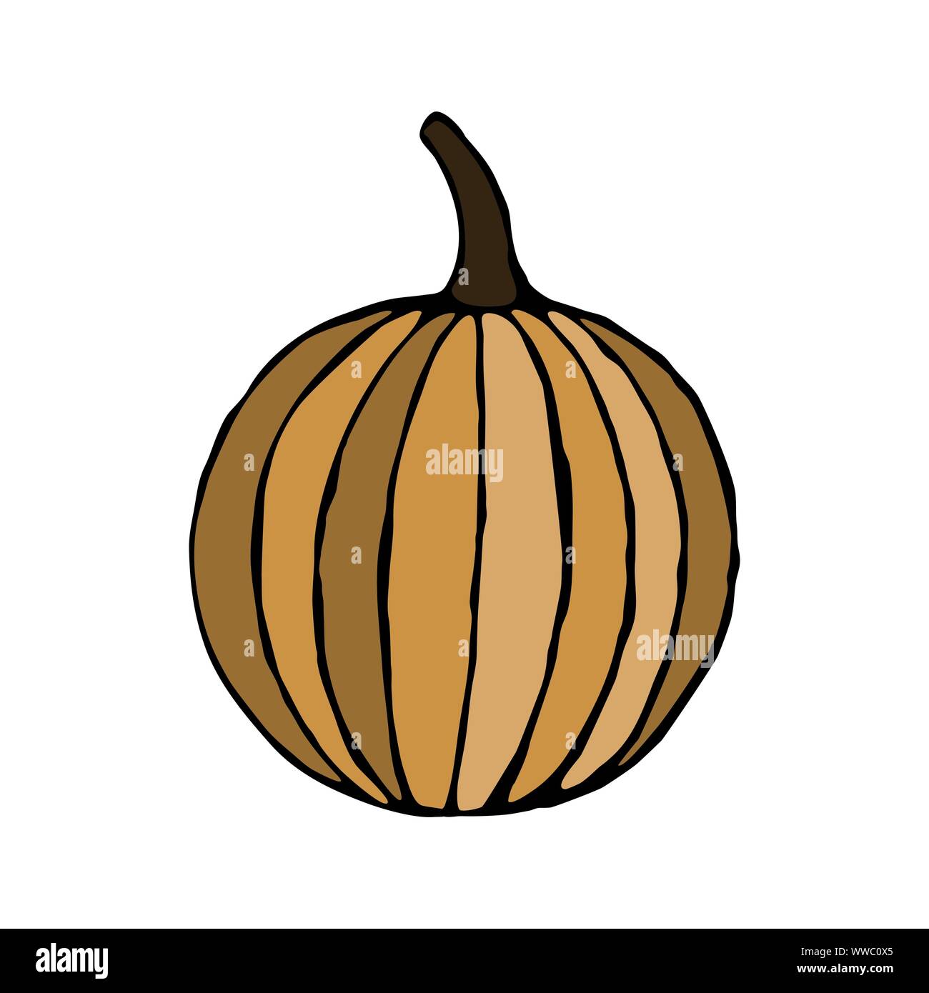 Vector hand drawn orange pumpkin. Sketch of garden vegetable. Doodle illustration of seasonal autumn crop harvesting. Isolated image Stock Vector