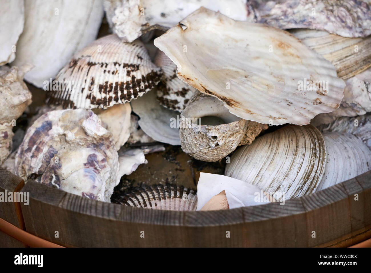 Clam, oyster, and other shells sit in a wooden bucket in the Ameyoko (Ameyayokocho) outdoor market near Ueno Station Stock Photo