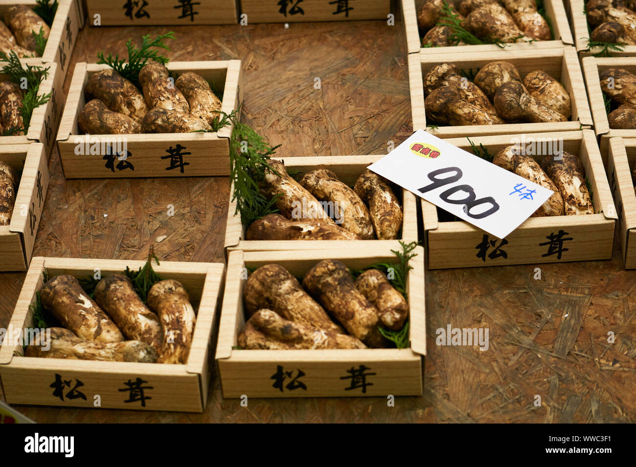 Matsutake mushrooms (Tricholoma matsutake) for sale in wooden boxes at Tsukiji Wholesale Market in Tokyo, Japan. Stock Photo