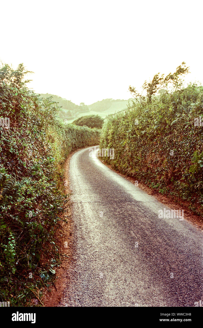 Narrow country lane leading down to Hope Cove, Kingsbridge, Devon