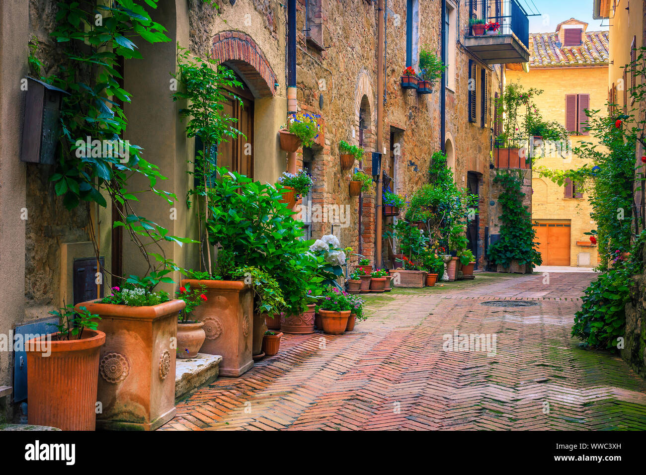 Admirable traditional Tuscany street view. Spectacular medieval stone houses and narrow cute paved street with flowery entrances, Pienza, Tuscany, Ita Stock Photo