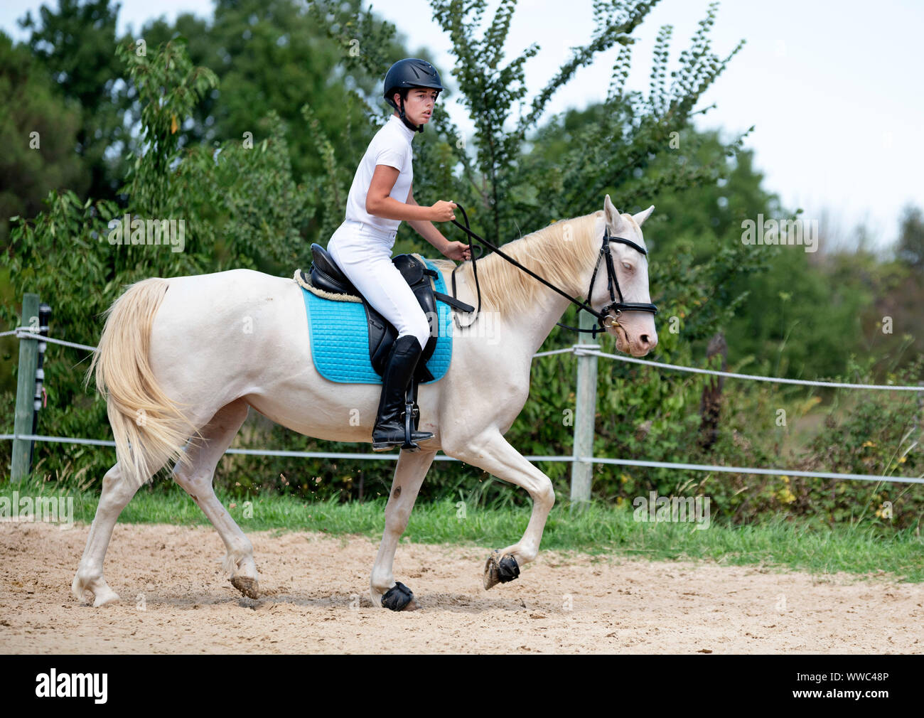 riding girl are training her young horse Stock Photo Alamy