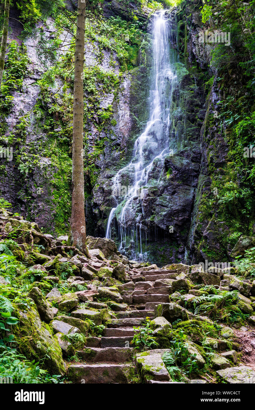 Germany, Stone steps to magic black forest waterfall called