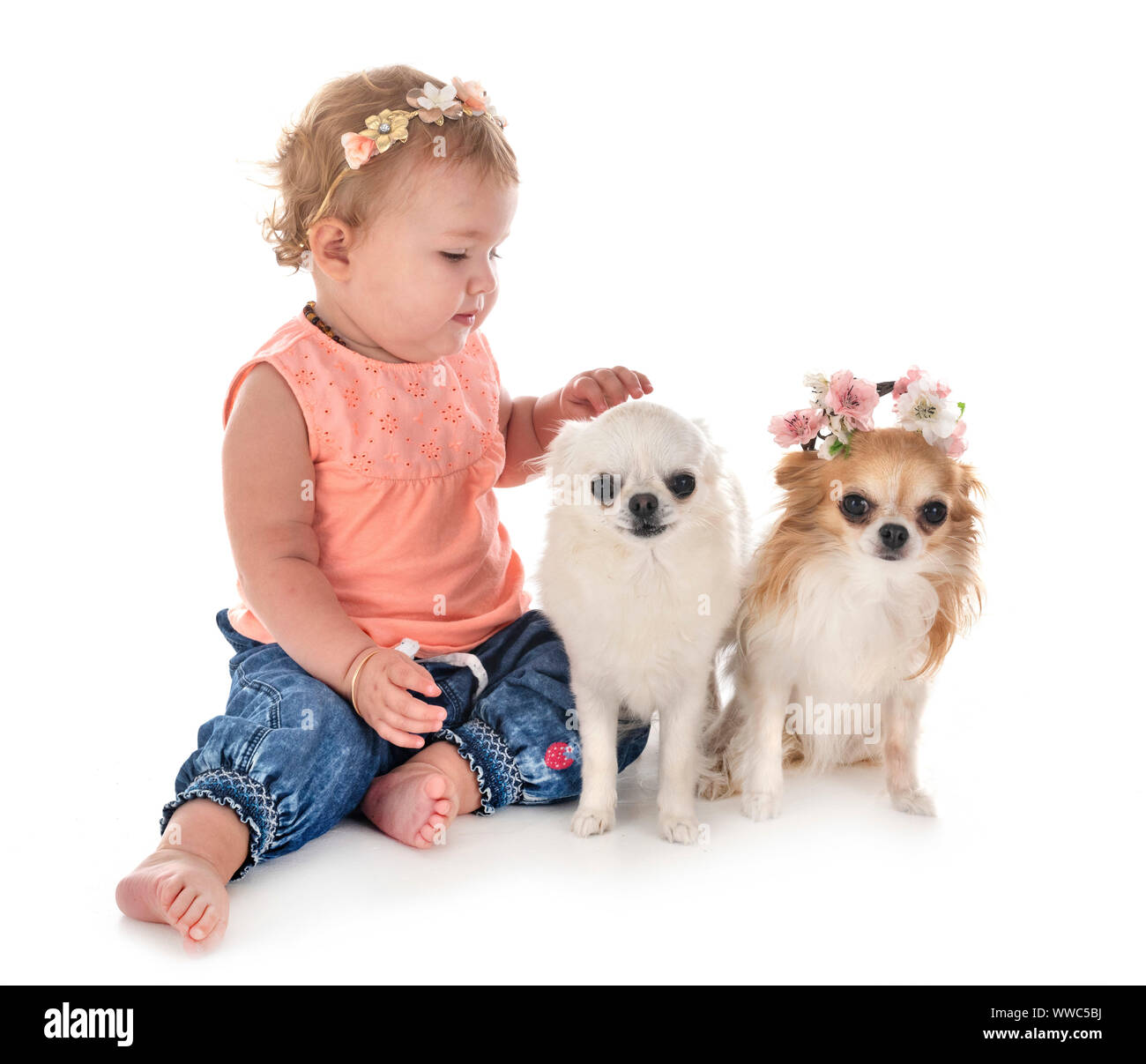 child and dog in font of white background Stock Photo