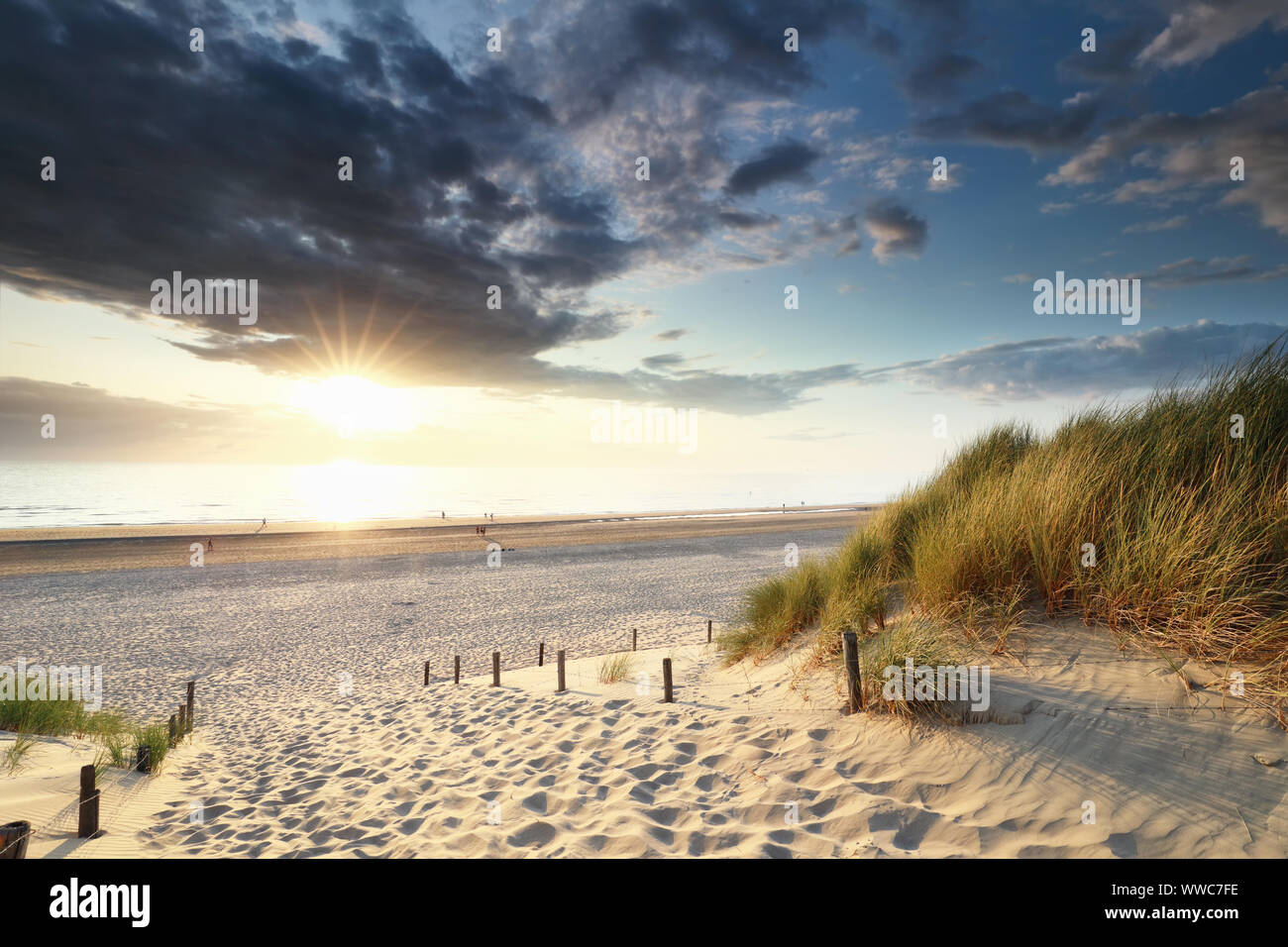 sunset sunshine over sand path to North sea beach, Holland Stock Photo ...