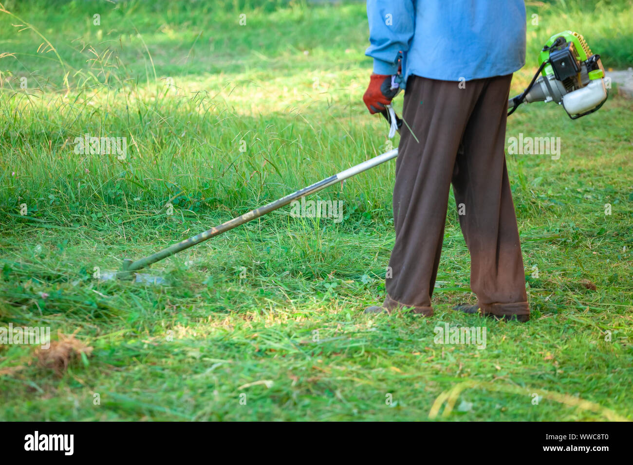 mardi grass lawn care