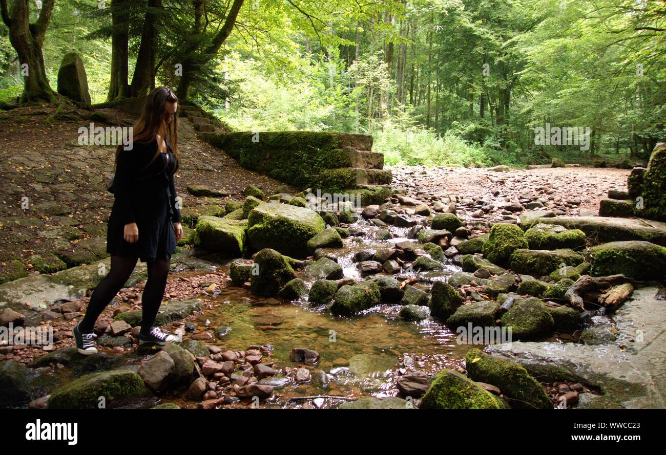 The Black Forest ist one of the most beautiful natures in germany Stock ...