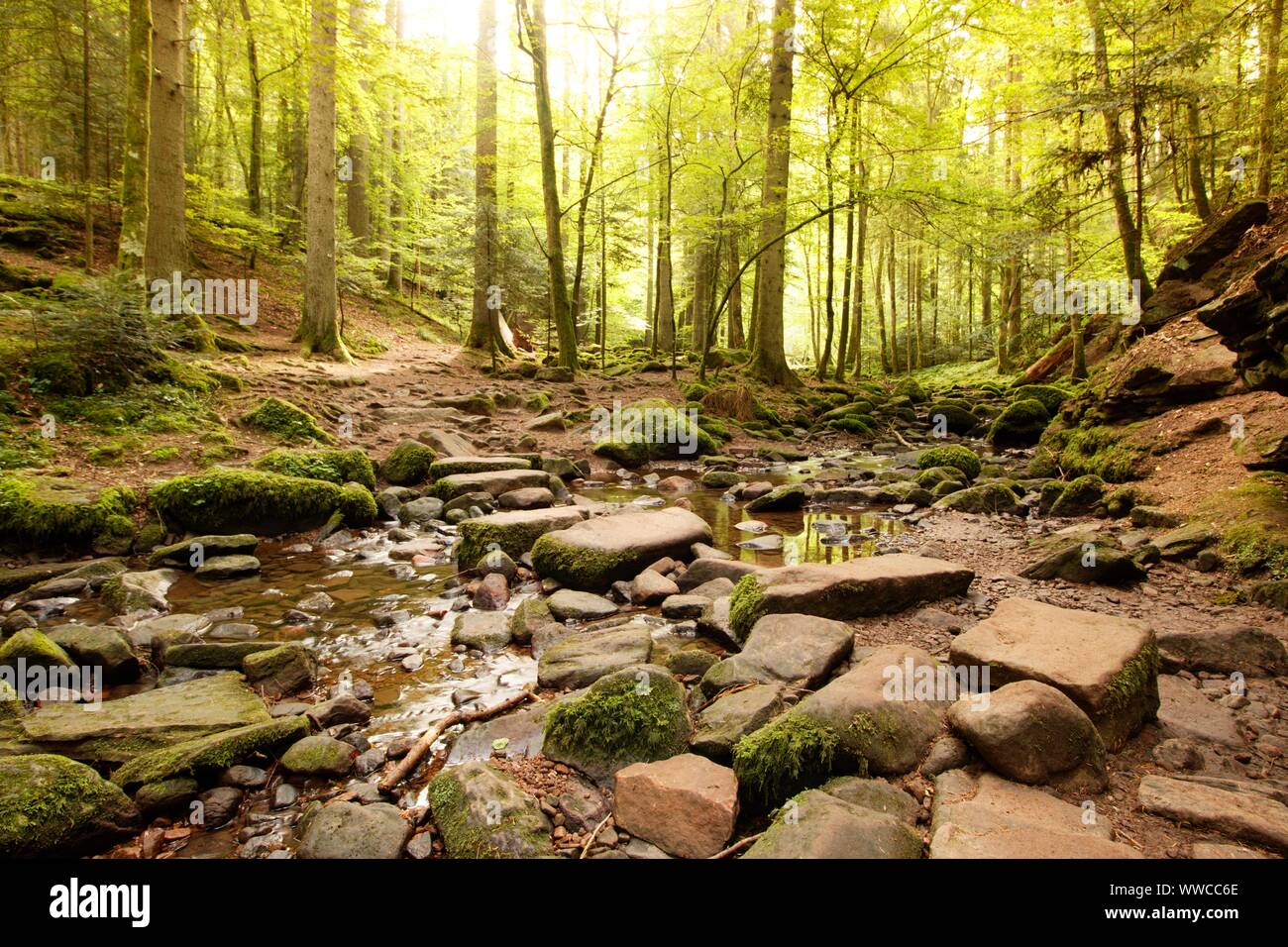 The Black Forest ist one of the most beautiful natures in germany Stock ...