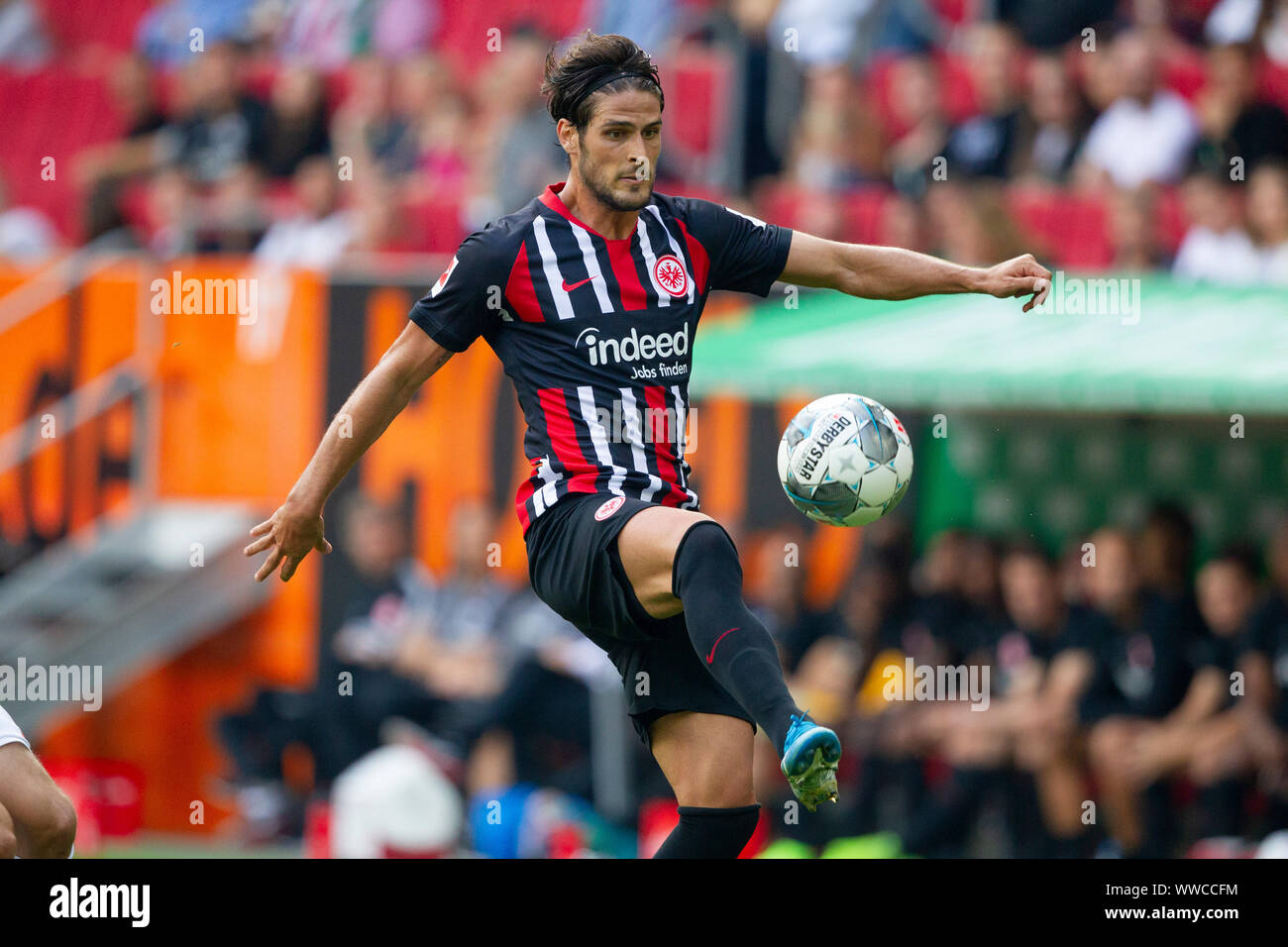 Goncalo PACIENCIA (# 39, F). Soccer, FC Augsburg (A) - Eintracht Frankfurt (F) 2: 1, Bundesliga, 4.matchday, season 2019/2020, on 14/09/2019 in Augsburg/WWKARENA/Germany. Editorial Note: DFL regulations prohibit any use of photographs as image sequences and/or quasi-video. ¬ | usage worldwide Stock Photo