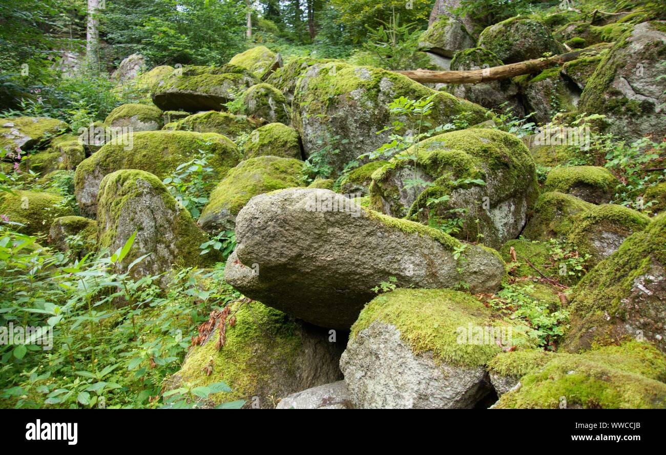 The Black Forest ist one of the most beautiful natures in germany Stock ...