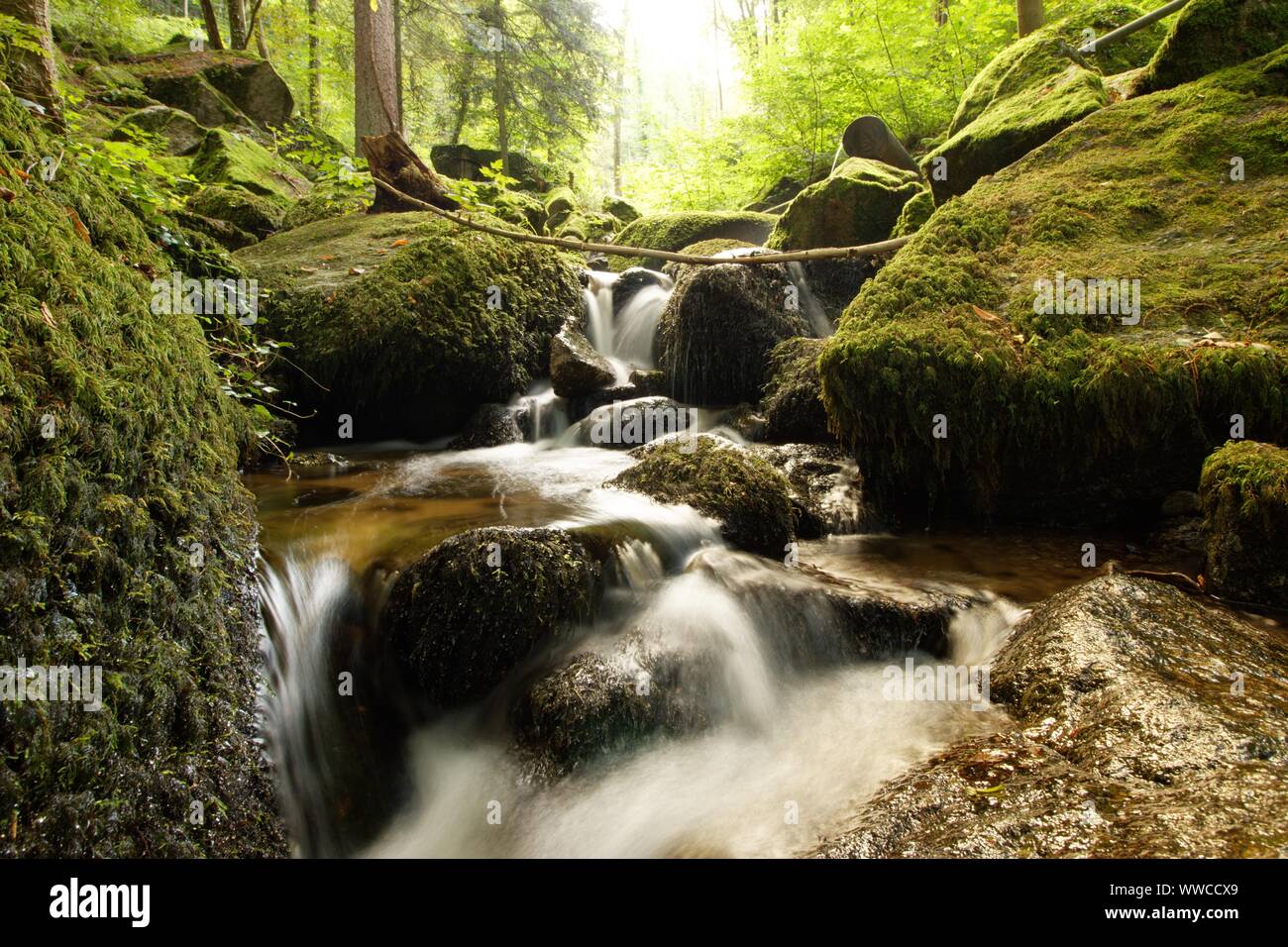 The Black Forest ist one of the most beautiful natures in germany Stock Photo