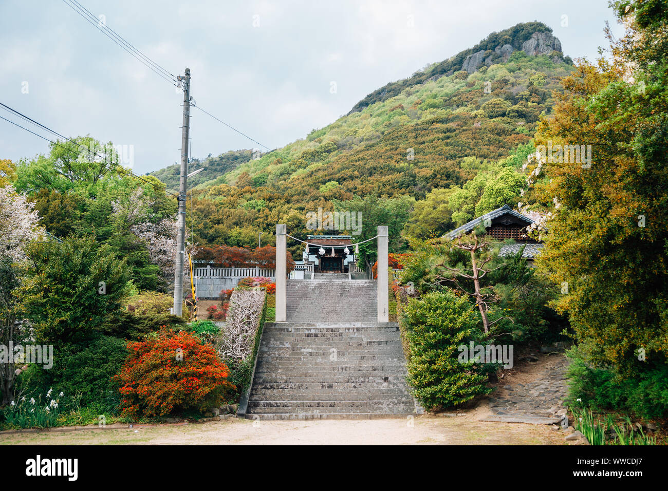Yashima Shrine at spring in Takamatsu, Kagawa Prefecture, Japan Stock Photo
