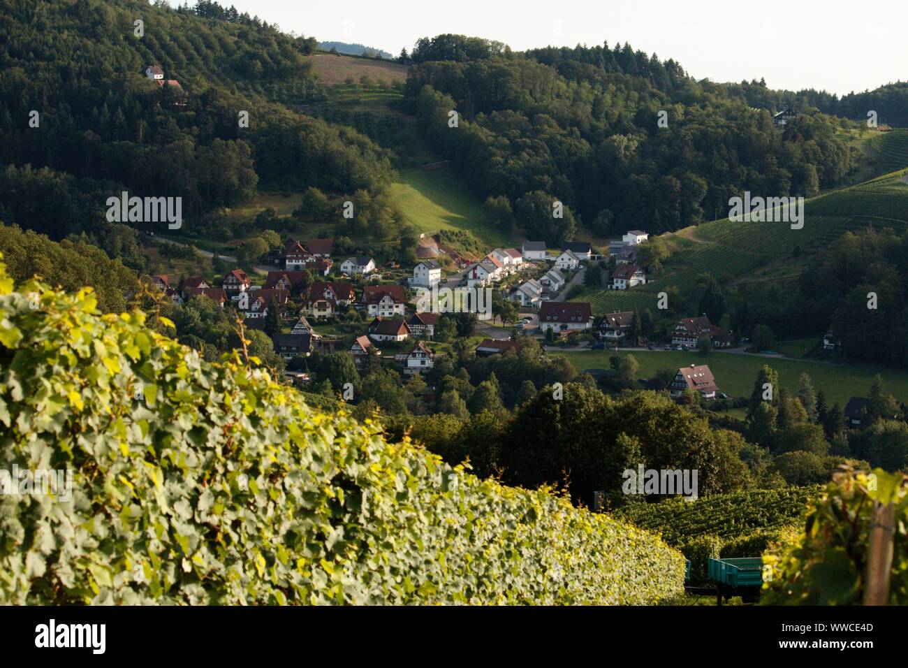 The Black Forest ist one of the most beautiful natures in germany Stock Photo