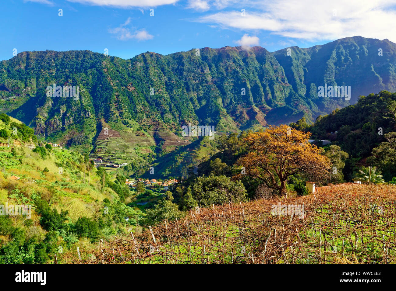 An elevated view of the hilly landscape of Madeira. Stock Photo