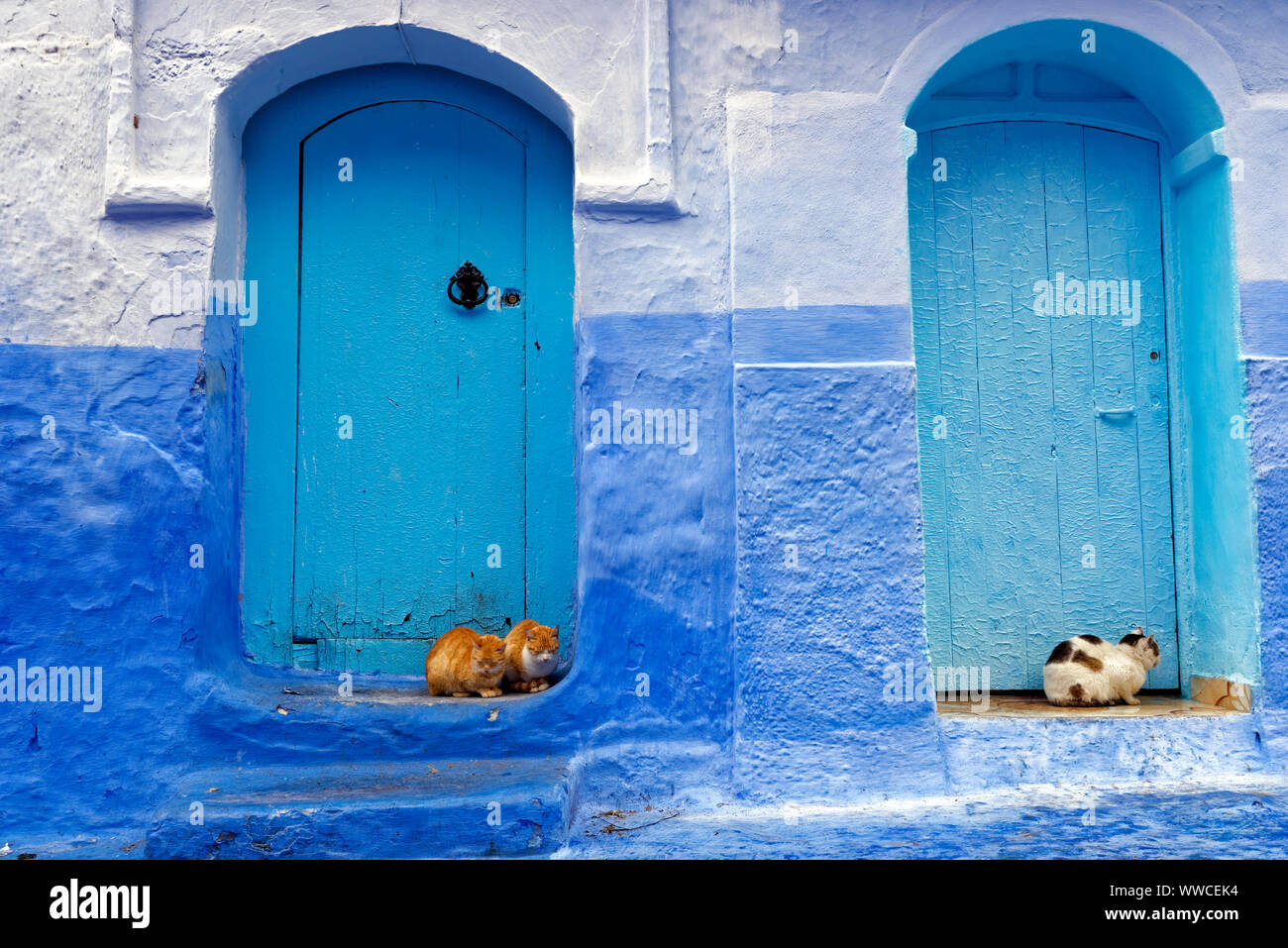 A view of the distinctive blue architecture of Chefchaouen in northwest Morocco. Stock Photo