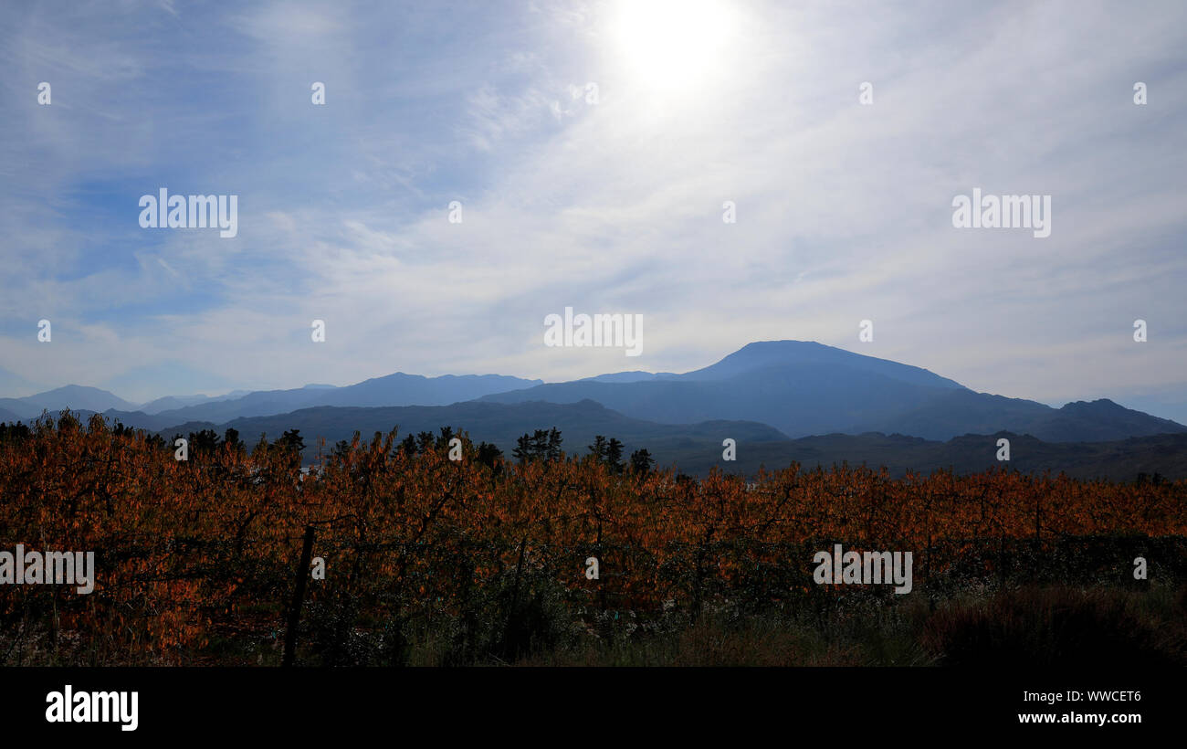 Autumn south africa hires stock photography and images Alamy